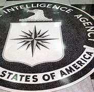 Image result for CIA vs NSA