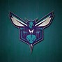 Image result for Hornets Team Colors