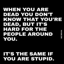 Image result for Stupidity Quotes Funny
