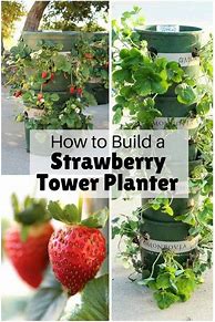 Image result for How to Build a Strawberry Planter