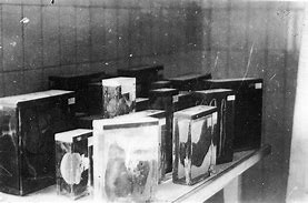 Image result for Ilse Koch Artifacts