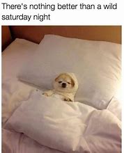Image result for Funny Saturday Night at Home