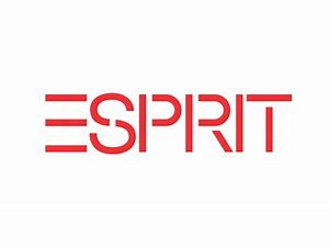 Image result for espirit logo