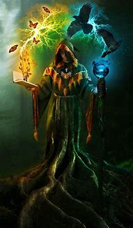 Image result for Male Nature Wizard