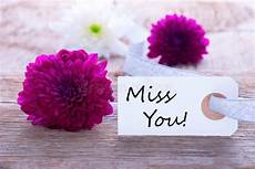 Label with Miss You stock image Image of love valentines 37273017