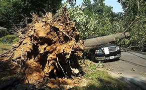 Image result for Big Is Hurricane On the Land