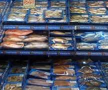 Image result for Fish Storage