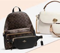 Image result for Coach Outlet