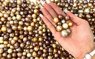 Image result for South Sea Pearls