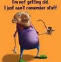 Image result for The Art of Aging Funny Quotes