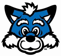 Image result for Indiana State Mascot