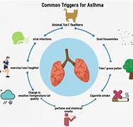 Image result for Asthma Triggers List