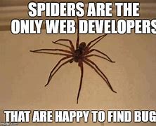 Image result for Spider Web Jokes
