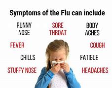 Image result for flu 