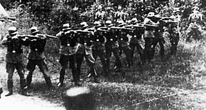 Image result for German SS Firing Squad