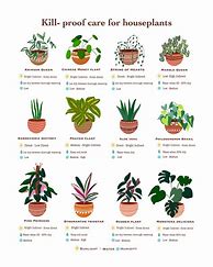 Image result for Indoor Plant Leaf Chart