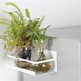 Image result for hang plant