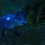 Image result for WoW Rare Pets