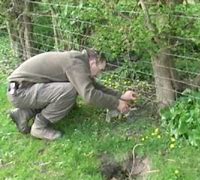 Image result for Rabbit Snaring