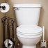 Image result for Lowe's Toilet Parts