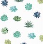 Image result for Cute Succulent Bakground