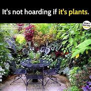 Image result for Funny Memes About Gardening