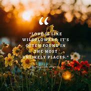 Image result for Quotes with Flower Background