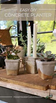 Image result for DIY Concrete Pots and Planters