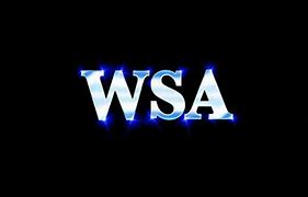 Image result for WSA Cheer Logo