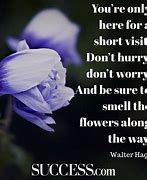 Image result for Short Quotes About Living Life