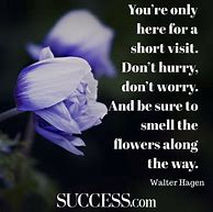 Image result for Wonderful Quotes to Live By
