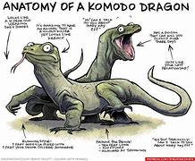 Image result for Funny Komodo Dragon