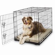 Image result for Puppy Crate