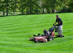 Image result for Lawn Mowing Equipment