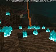 Image result for Nether Biomes