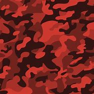 Image result for S/S Camo