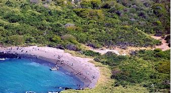 Image result for Urbina Bay Galapagos