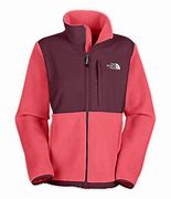 Image result for North Face Men Sweater