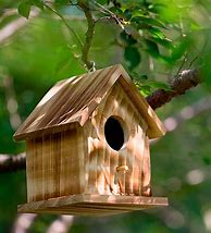 Image result for How to Build Bird Houses