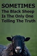 Image result for Black Sheep Funny Quotes
