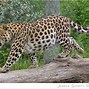 Image result for Pittsburgh Zoo and Aquarium