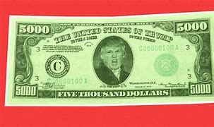 Image result for Trump hush money