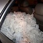 Image result for Toilet Paper House Prank