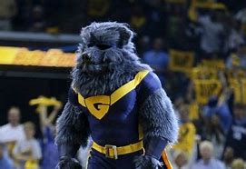Image result for Grizzlies Mascot