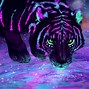 Image result for Beautiful Neon Tiger