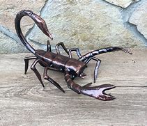 Image result for Metal Scorpion