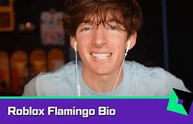 Image result for Flamingo YT Roblox