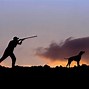 Image result for Hunting Dogs Pointer