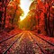 Image result for Beautiful Nature Autumn Desktop