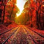 Image result for Beautiful Autumn Desktop Wallpaper